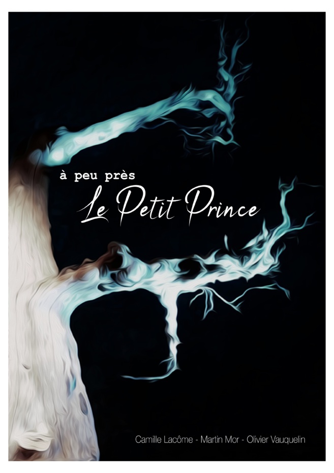 Un week-end de spectacles à Saint-Martin-les-Eaux Un week-end de spectacles à Saint-Martin-les-Eaux