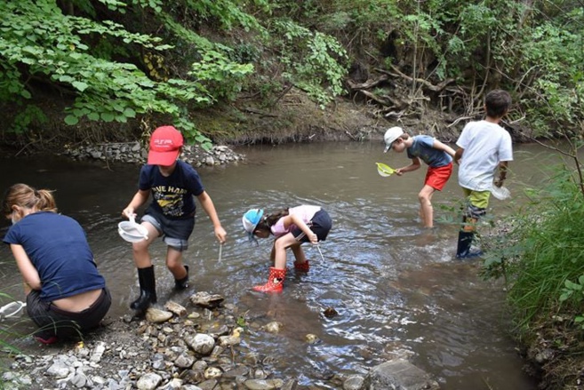 De nombreuses animations à venir pour Gap science animation De nombreuses animations à venir pour Gap science animation
