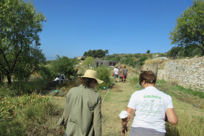 Colineo :Conservatoire des Restanques, Verger & Jardin Méditerranéen Colineo :Conservatoire des Restanques, Verger & Jardin Méditerranéen
