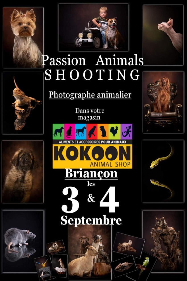 Pour des souvenirs Inoubliables avec votre animal de compagnie, venez faire un shooting ! Pour des souvenirs Inoubliables avec votre animal de compagnie, venez faire un shooting !