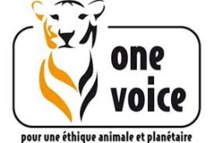 One voice 04-05 : Manifestation à Forcalquier Lundi prochain de 10h00 à 13h00 One voice 04-05 : Manifestation à Forcalquier Lundi prochain de 10h00 à 13h00