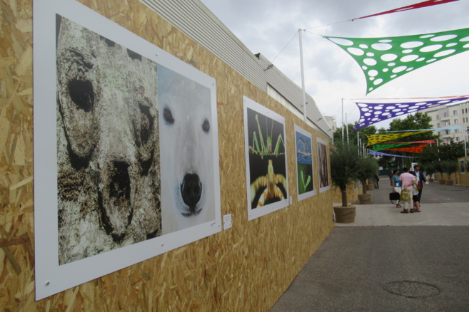 Espaces générations nature, au congrès mondial de la nature Espaces générations nature, au congrès mondial de la nature