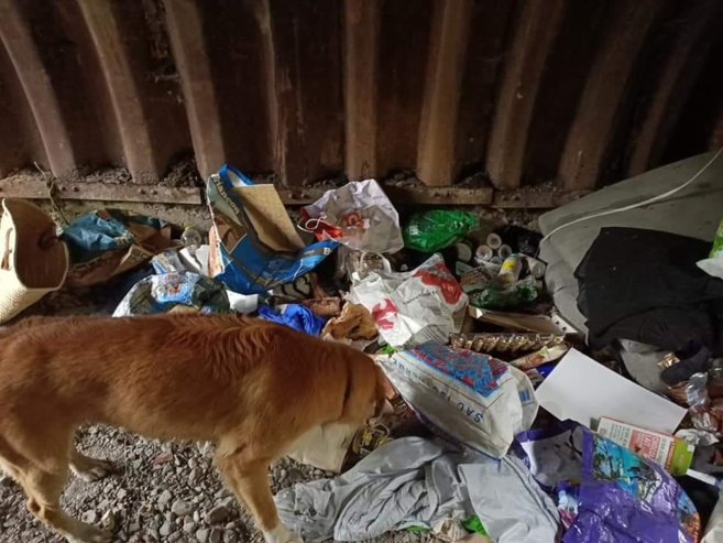 Une belle initiative citoyenne de ramassage des déchets à Briançon ! Une belle initiative citoyenne de ramassage des déchets à Briançon !