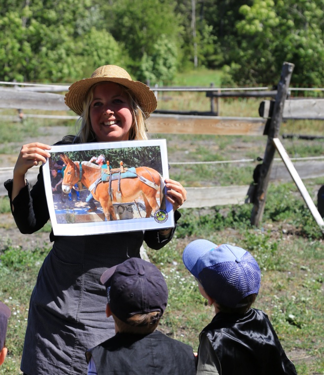 la Petite Ferme des Regains vous fera voyager pour les vacances de la Toussaint ! la Petite Ferme des Regains vous fera voyager pour les vacances de la Toussaint !