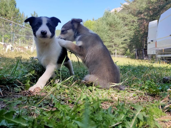 Du nouveau chez l'Empreinte Nordique avec une escape game ! Du nouveau chez l'Empreinte Nordique avec une escape game !