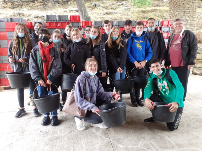 Quand des lycéens sisteronais se font vendangeurs… Quand des lycéens sisteronais se font vendangeurs…