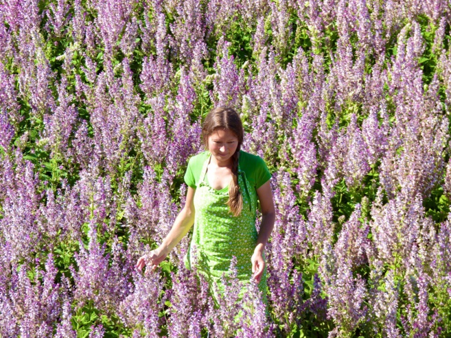 "Green and Zen Bubbles", découvrir la nature autrement "Green and Zen Bubbles", découvrir la nature autrement