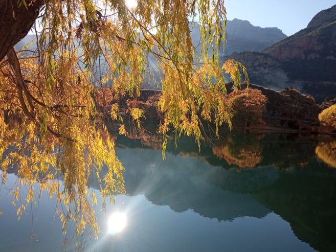 "En méditation" avec Domitille Bruneton "En méditation" avec Domitille Bruneton