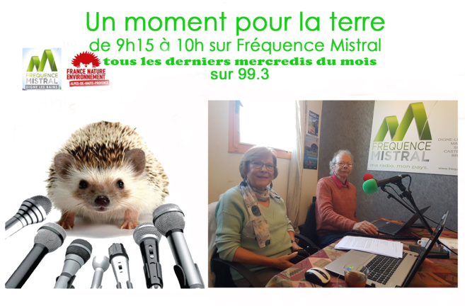 Françoise Tellier et Gilbert Féraud Françoise Tellier et Gilbert Féraud