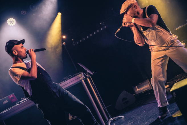 La chronique des nouveautés musicales : Sound Therapy et Le zèbre La chronique des nouveautés musicales : Sound Therapy et Le zèbre