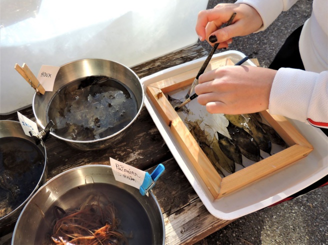 Un atelier papier végétal à Veynes Un atelier papier végétal à Veynes