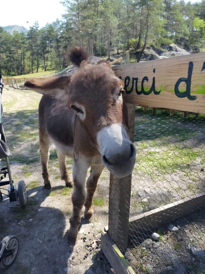 Un Parc à Lutins, car ils existent ! Un Parc à Lutins, car ils existent !