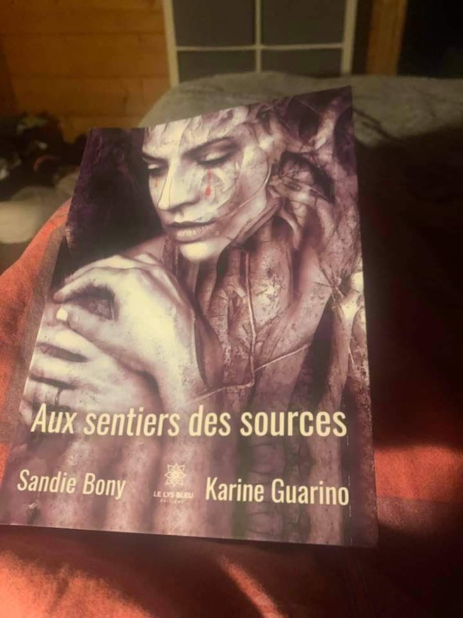 Aux sentiers des sources: le nouveau roman du duo mère et fille Aux sentiers des sources: le nouveau roman du duo mère et fille