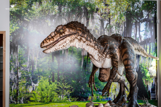 Beau programme pour la Maison de la Géologie et du Géoparc Beau programme pour la Maison de la Géologie et du Géoparc