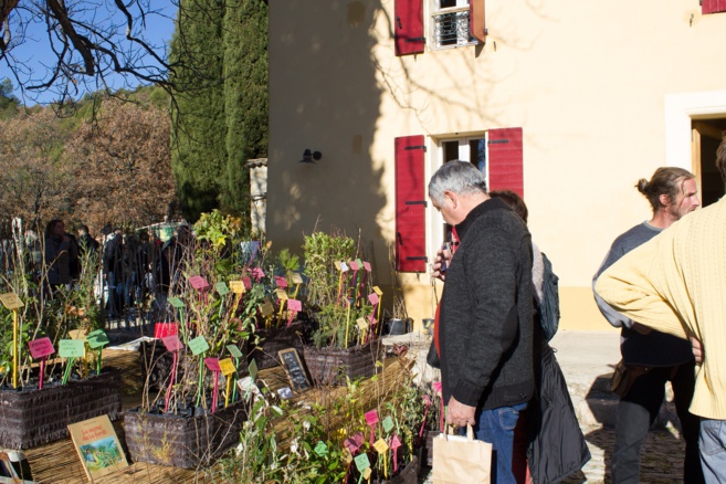 Journee fruits et saveurs plants c JL Uyttendaele Journee fruits et saveurs plants c JL Uyttendaele