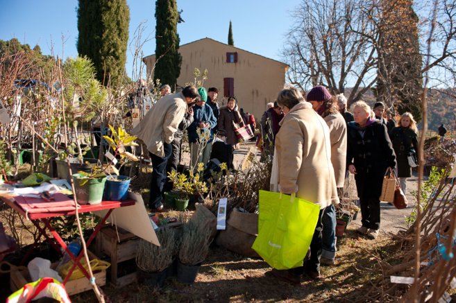 Un pépiniériste de variétés traditionnelles et locales Un pépiniériste de variétés traditionnelles et locales