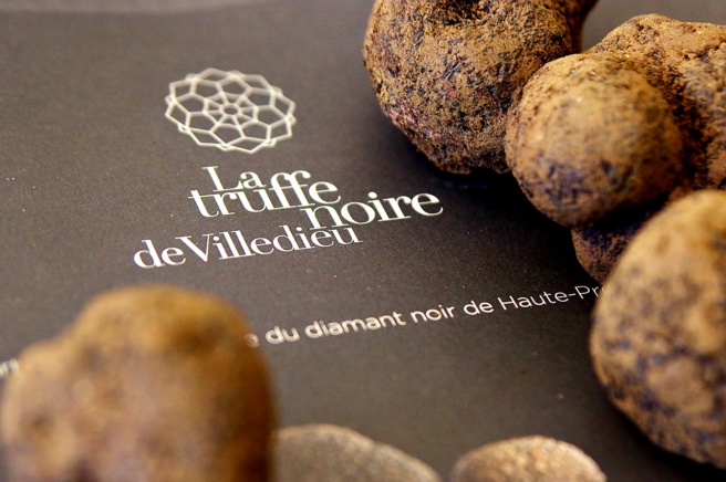 Destination haute-provence : la truffe noire de Villedieu Destination haute-provence : la truffe noire de Villedieu