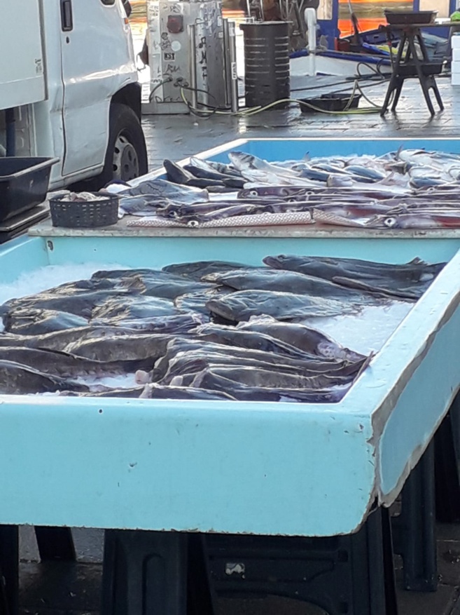 Le marché aux poissons du Vieux Port Le marché aux poissons du Vieux Port