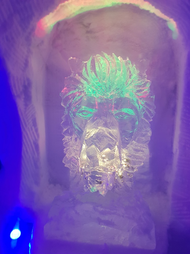 Promenons nous dans les bois à l'igloo pelvoo ! Promenons nous dans les bois à l'igloo pelvoo !