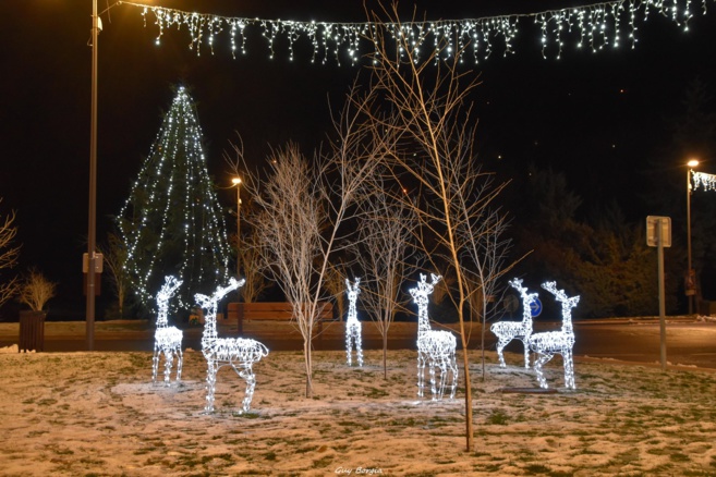 Beaucoup de « fait maison » par la mairie d'Embrun Beaucoup de « fait maison » par la mairie d'Embrun