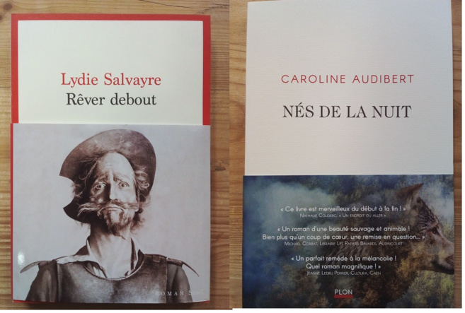 Les coups de cœur de la librairie Le Bleuet Les coups de cœur de la librairie Le Bleuet