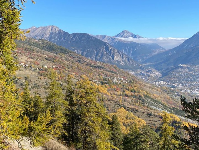 Le collectif des Silènes cherche à accueillir son huitième et dernier foyer dans leur habitat participatif Le collectif des Silènes cherche à accueillir son huitième et dernier foyer dans leur habitat participatif