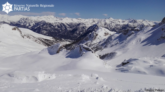 Un appel à bénévoles lancé par la Réserve Naturelle Régionale des Partias Un appel à bénévoles lancé par la Réserve Naturelle Régionale des Partias