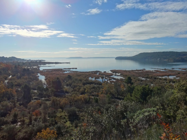 La "journée mondiale des zones humides en Méditerranée" La "journée mondiale des zones humides en Méditerranée"