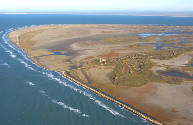 La "journée mondiale des zones humides en Méditerranée" La "journée mondiale des zones humides en Méditerranée"