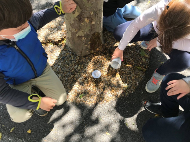 Le Parc du Luberon végétalise des cours d’école Le Parc du Luberon végétalise des cours d’école