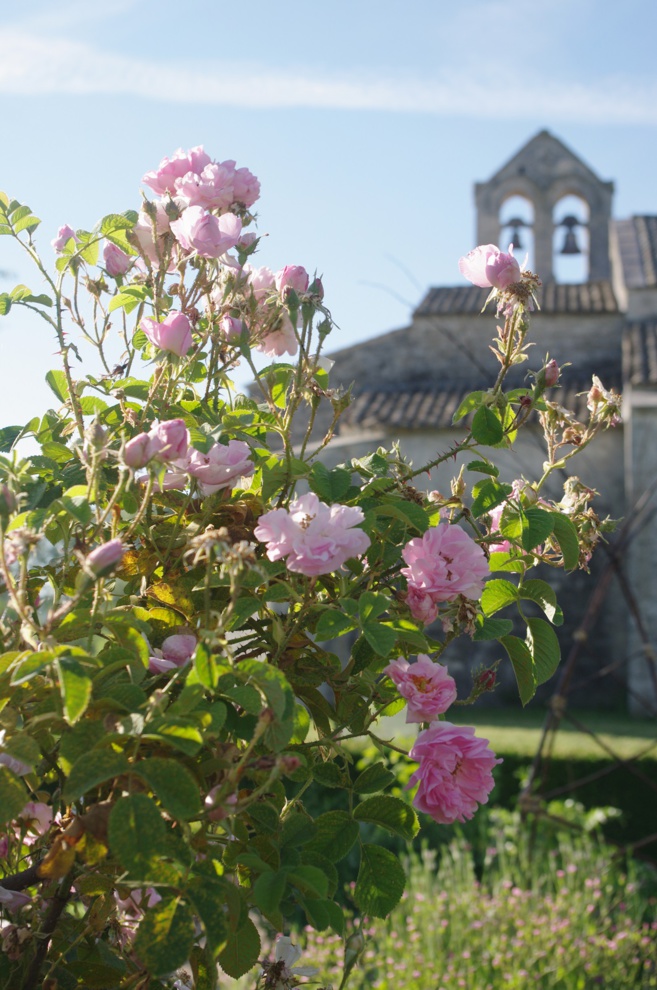 Réouverture du musée de Salagon pour nouvelle saison Réouverture du musée de Salagon pour nouvelle saison