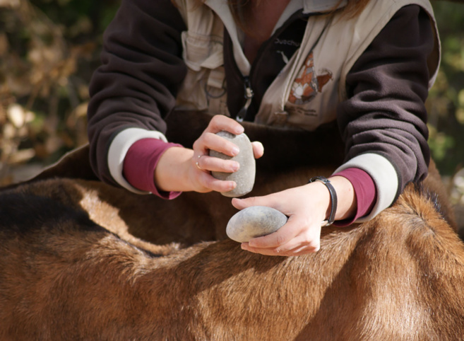 Les musées ouvrent leurs portes pour les vacances de février Les musées ouvrent leurs portes pour les vacances de février