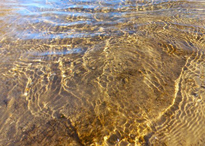 Un stage de vidéo-danse autour de l'"eau" Un stage de vidéo-danse autour de l'"eau"