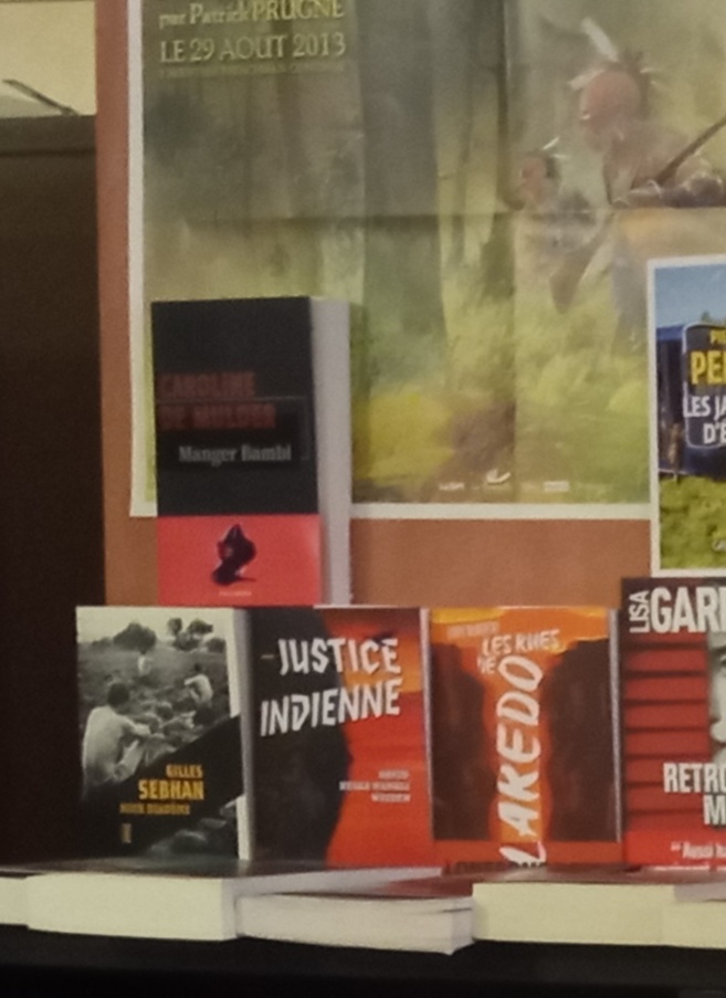 La bibliothèque idéale La bibliothèque idéale