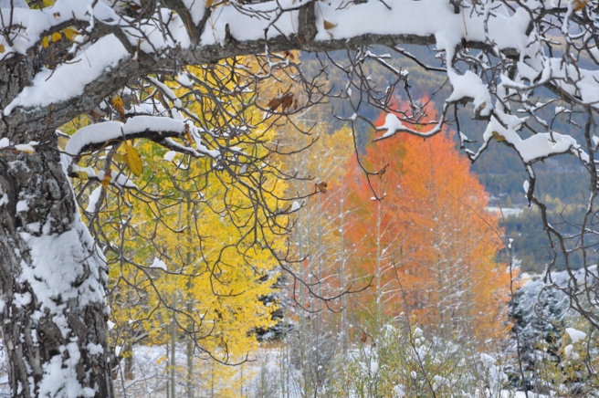 Des visites sens'action à Guillestre Des visites sens'action à Guillestre