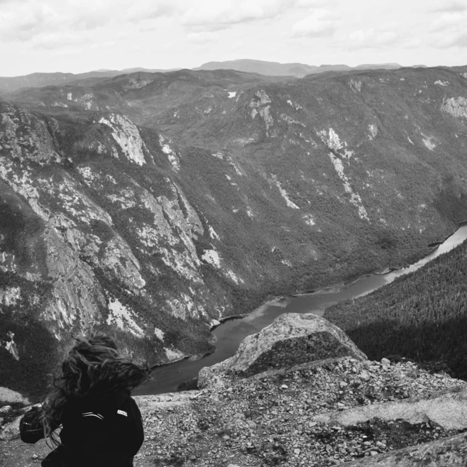 L' OEIL AU VERT, une entreprise pleine de projets ! L' OEIL AU VERT, une entreprise pleine de projets !