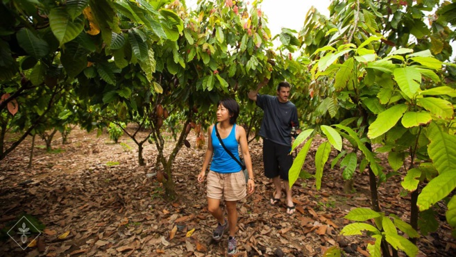 Du chocolat Made in Briançon: beau cacao ! Du chocolat Made in Briançon: beau cacao !