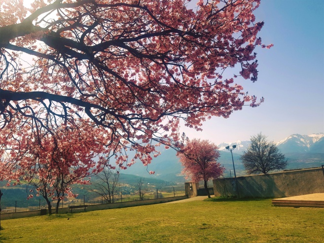 De nombreuses visites pour découvrir le patrimoine d'Embrun De nombreuses visites pour découvrir le patrimoine d'Embrun