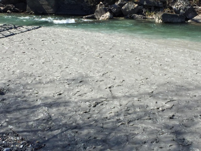 catastrophe écologique dans la DURANCE catastrophe écologique dans la DURANCE