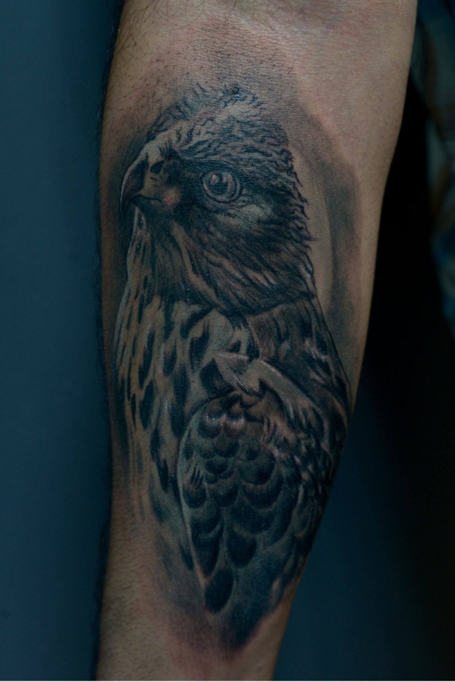 Songbird - spéciale auditeur avec Marc Songbird - spéciale auditeur avec Marc