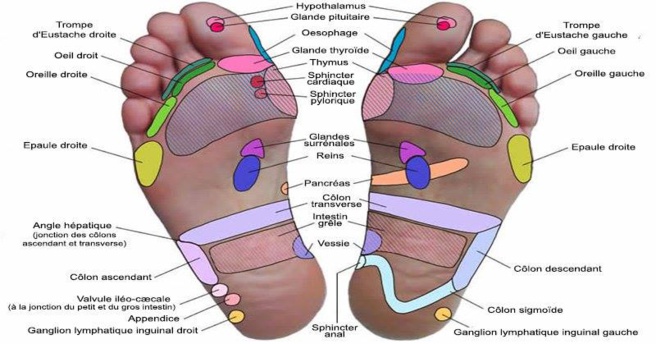 Une thérapie douce et naturelle: la réflexologie plantaire Une thérapie douce et naturelle: la réflexologie plantaire