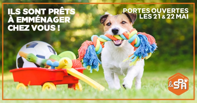 SPA : les journées "portes ouvertes adoption" de retour ce printemps SPA : les journées "portes ouvertes adoption" de retour ce printemps