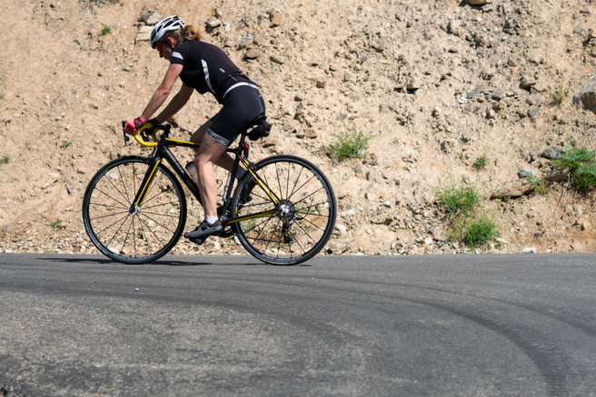 Rogier van Rijn Rogier van Rijn