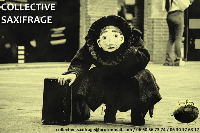 Les spectacles et les festivals continuent pour saxifrage Les spectacles et les festivals continuent pour saxifrage