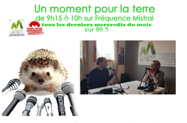 Thierry Michel et Mario Chabanon Thierry Michel et Mario Chabanon