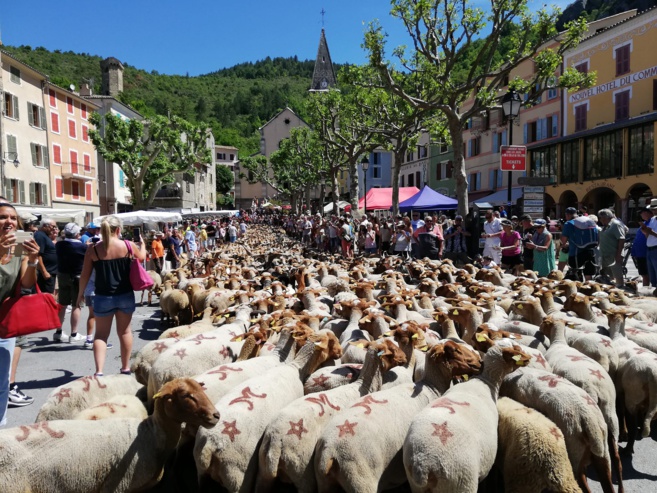 16ème édition de la fête de la transhumance à Castellane 16ème édition de la fête de la transhumance à Castellane