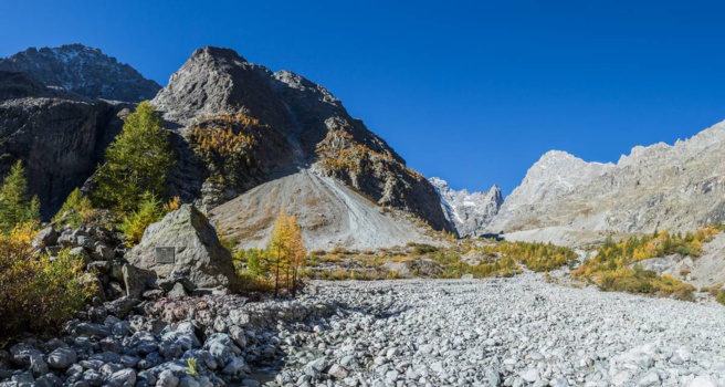 @Jan Novack @Jan Novack