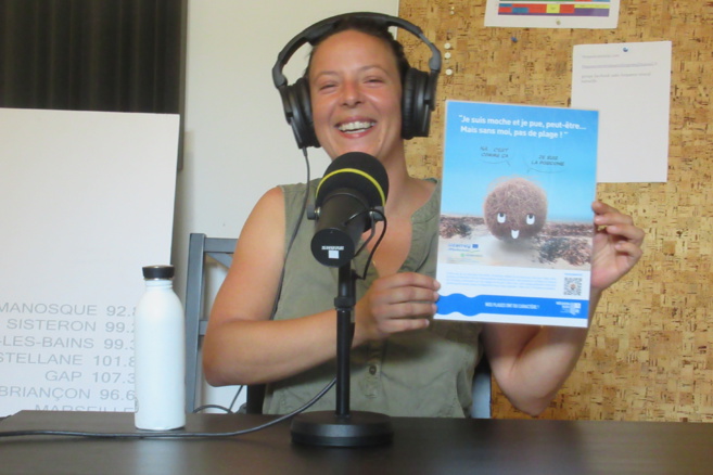 Chronique du Naturoscope : Les posidonies Chronique du Naturoscope : Les posidonies