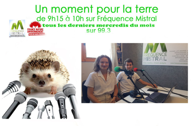 Amélie Bruscher et Yann Lohou Amélie Bruscher et Yann Lohou