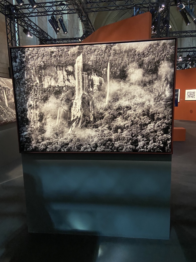 L'incroyable exposition photos "AMAZÔNIA" à la Chapelle du Palais des Papes, du 27 juin au 30 novembre 2022 L'incroyable exposition photos "AMAZÔNIA" à la Chapelle du Palais des Papes, du 27 juin au 30 novembre 2022